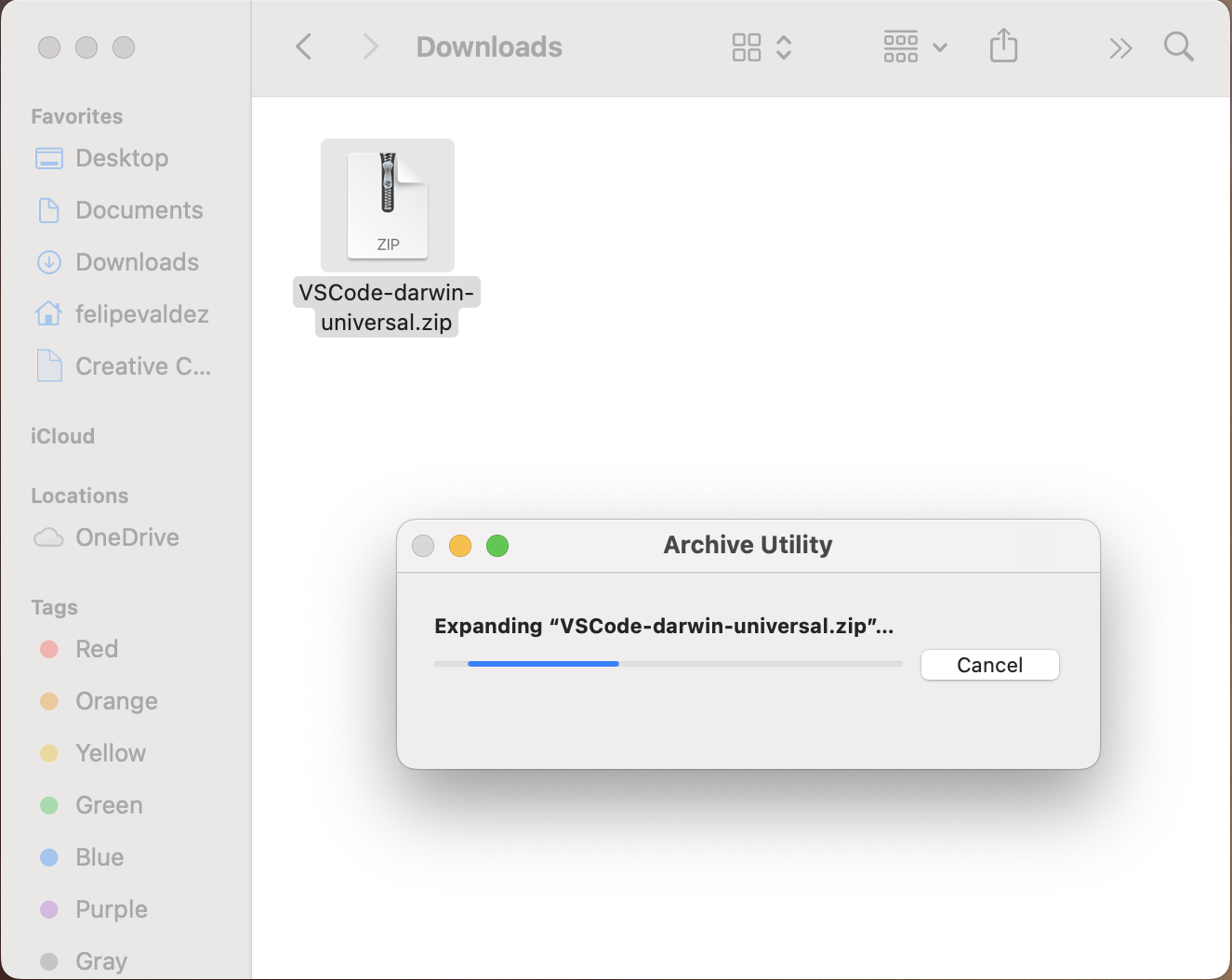 captura de pantalla del archivo zip siendo descomprimido